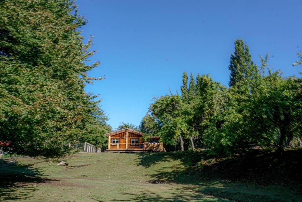 La Granja De Tia Cone, *
